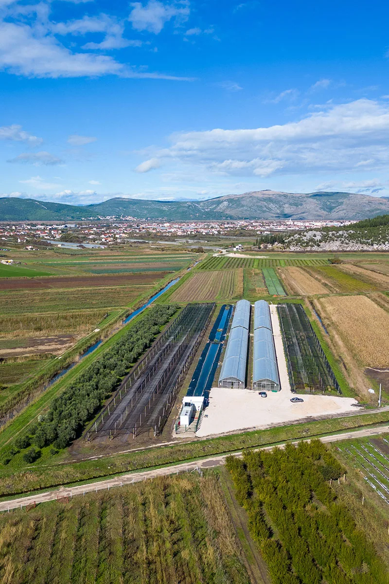 Proizvodnja sadnica — Rasadnik Prud